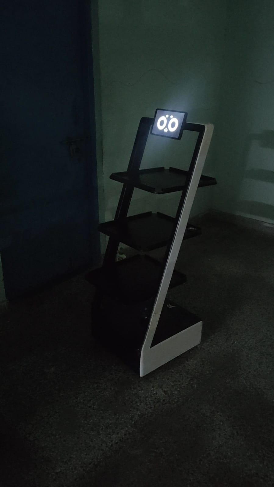 Advanced Robot